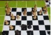 Reflections 5 on the Chess Western Province League by Dr Lyndon Bouah