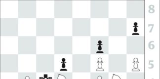 Chess: All-Chinese World Cup Semi-Final May Spark Controversy in Tie-Breaks
