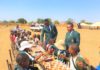Chess Craze at the Family Fun Day and Sports Festival in Bindura Zimbabwe