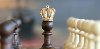 Bayelsa Chess News